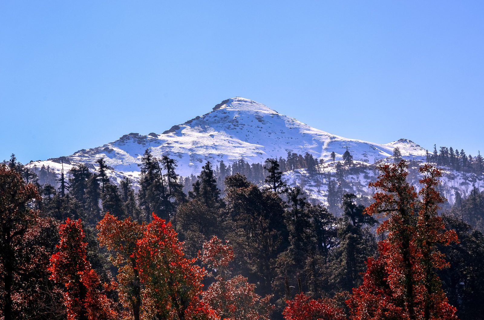 Kedarkantha Winter Trek